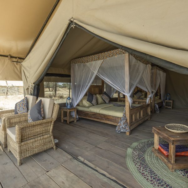 AS South Serengeti - foto 1