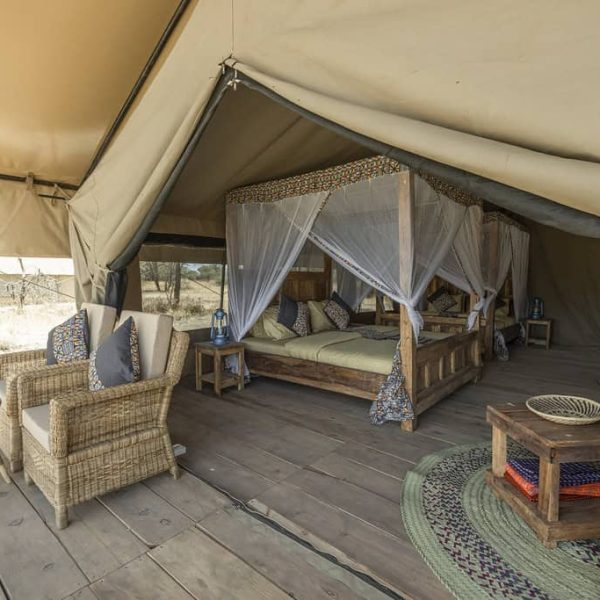AS South Serengeti - foto 1