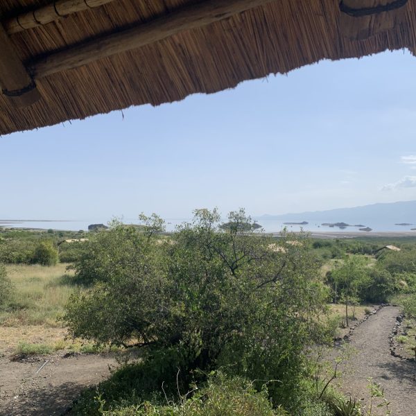 Africa Safari Lake Natron - foto 5