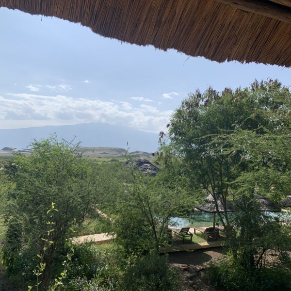Africa Safari Lake Natron headerbeeld