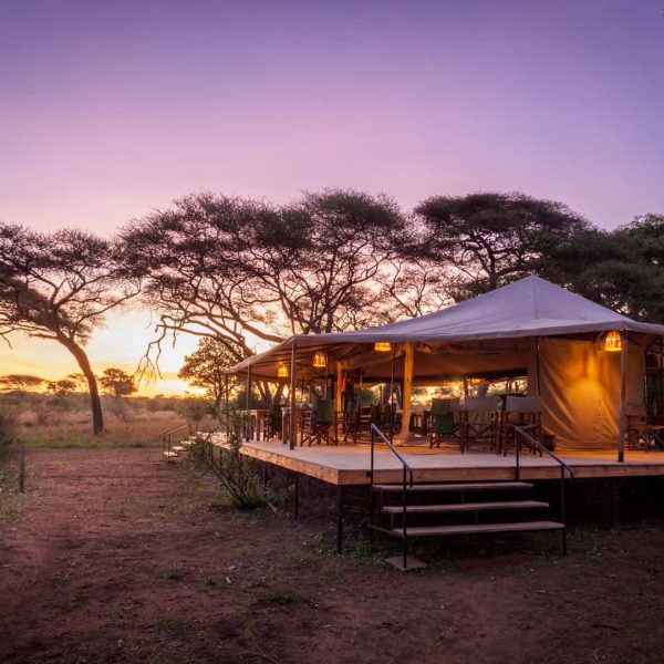Baobab Tented Camp - foto 5