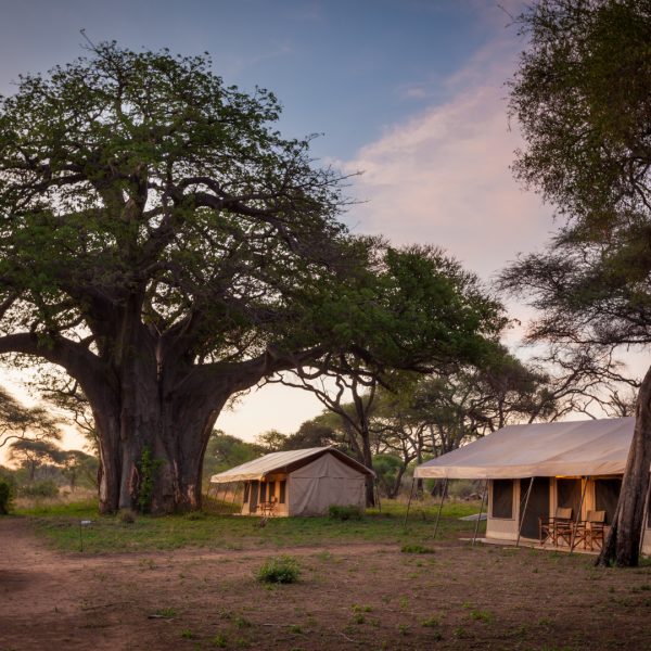 Baobab Tented Camp headerbeeld