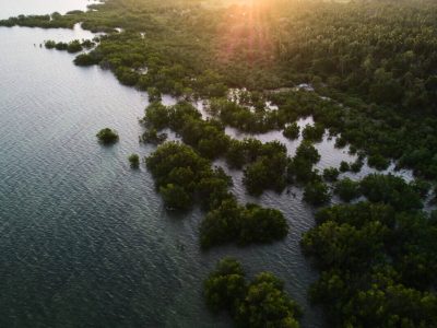 DJI_0323