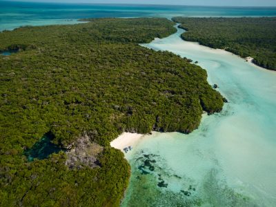 DJI_0342