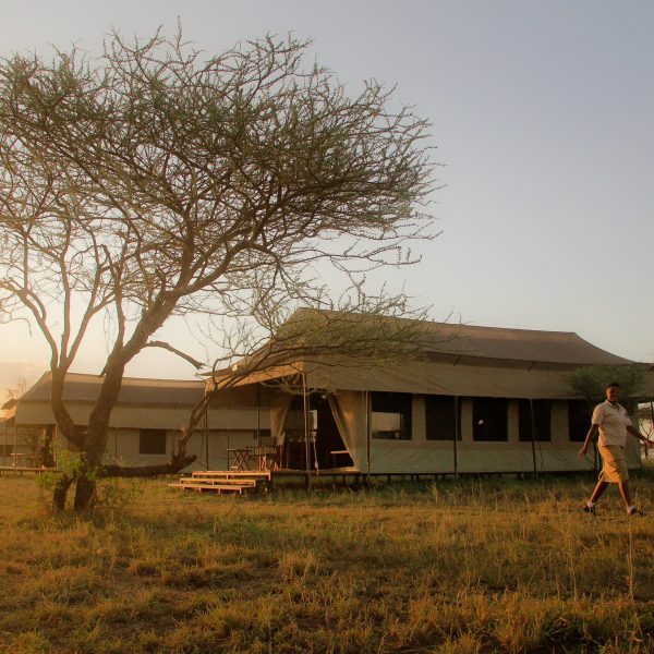 Header Hippo Trails