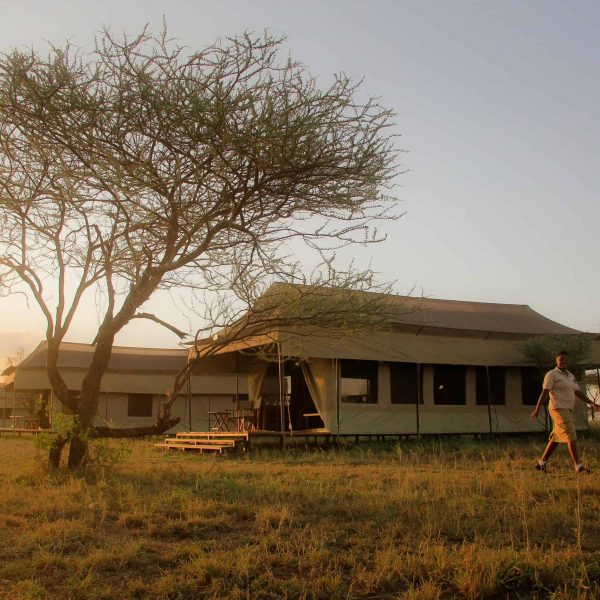 Header Hippo Trails
