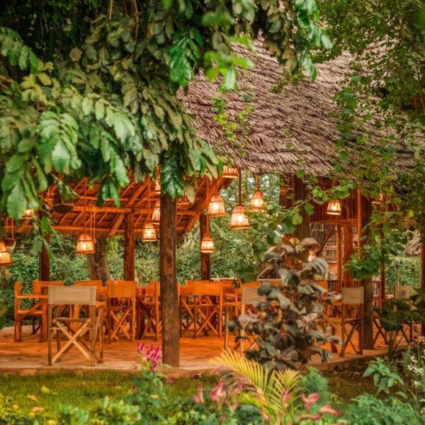Jungle Pearl - foto 4