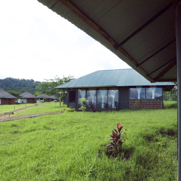 Karatu Simba Lodge headerbeeld
