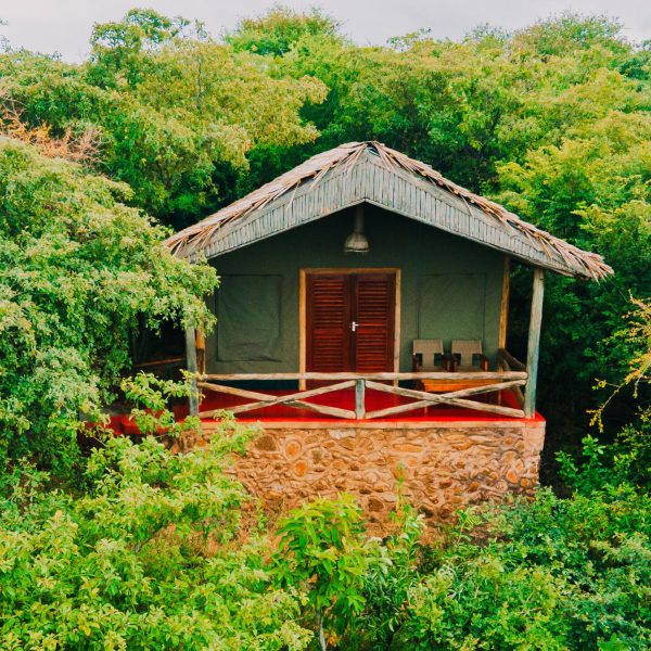 Kirurumu Manyara - foto 4