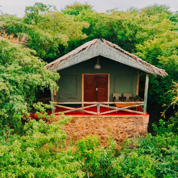 Kirurumu Manyara - foto 4