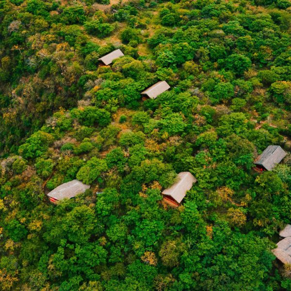 Kirurumu Manyara headerbeeld