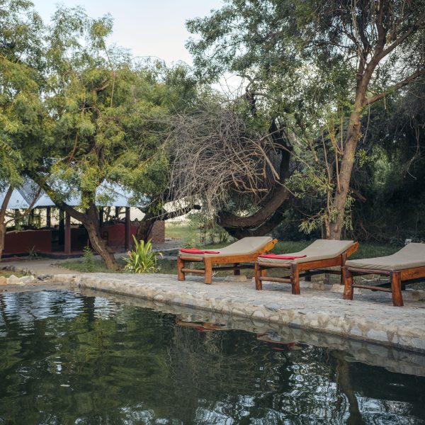 Lake Natron Tented Camp - foto 2