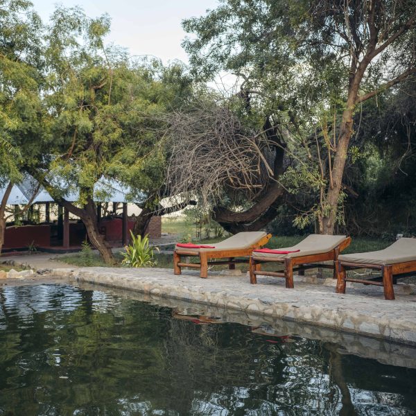 Lake Natron Tented Camp - foto 2