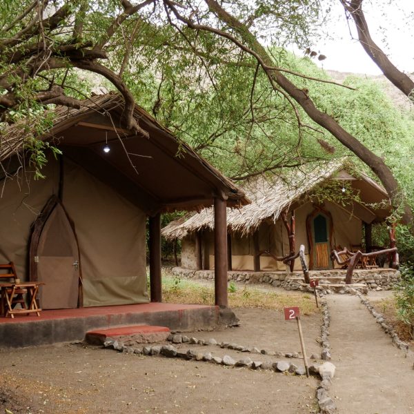 Lake Natron Tented Camp - foto 3