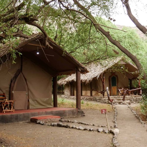 Lake Natron Tented Camp - foto 3