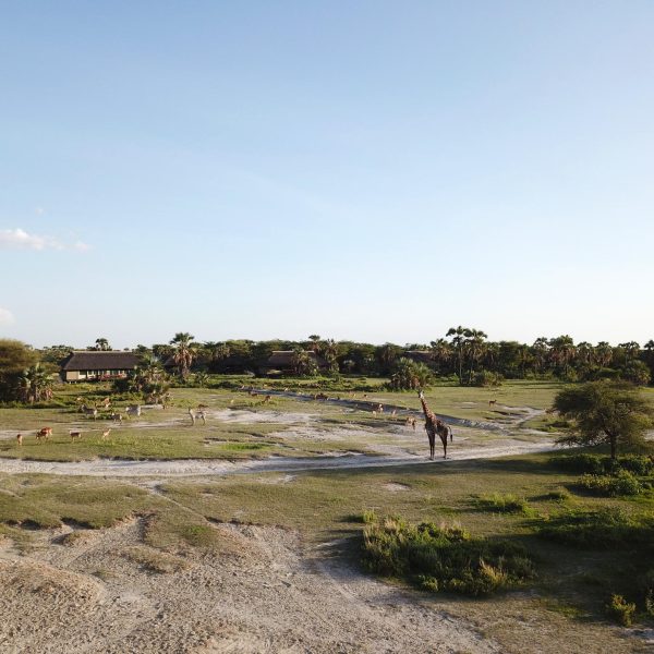 Maramboi headerbeeld