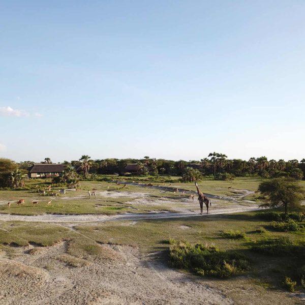 Maramboi headerbeeld