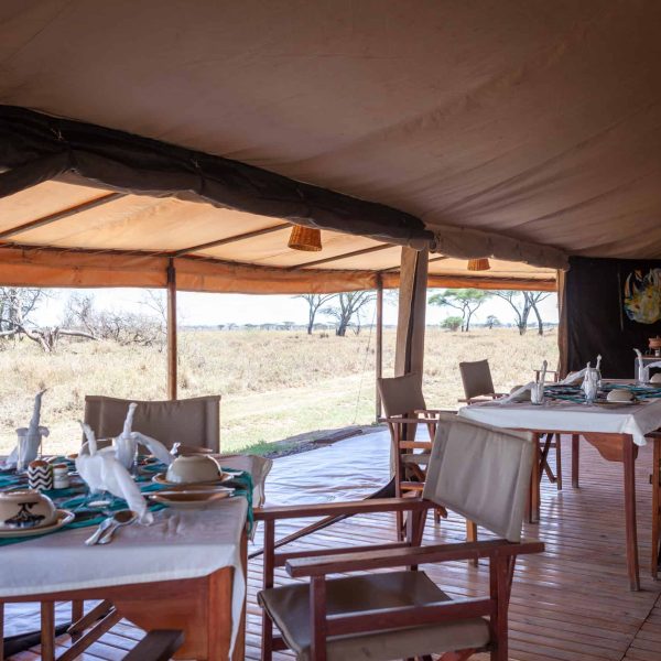 Mawe Tented Camp - foto 2