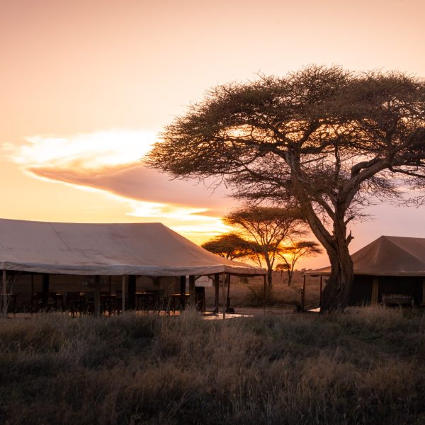 Mawe Tented Camp - foto 5