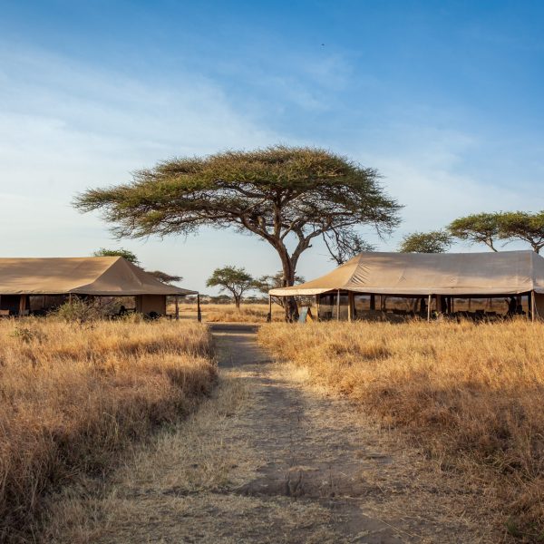 Mawe Tented Camp headerbeeld