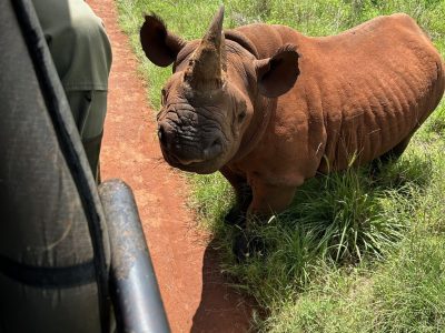 Mkomazi 10