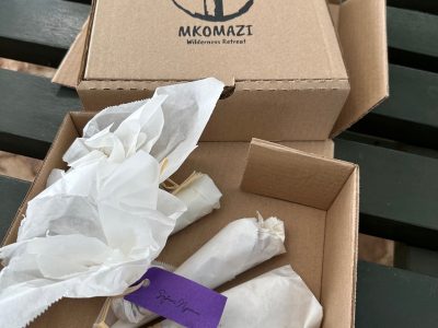 Mkomazi 11