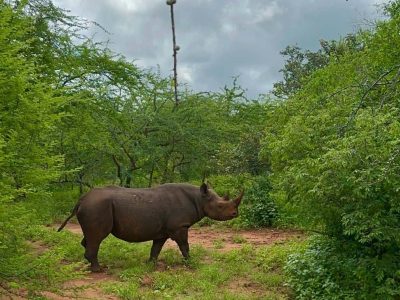 Mkomazi 6