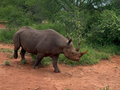 Mkomazi 7