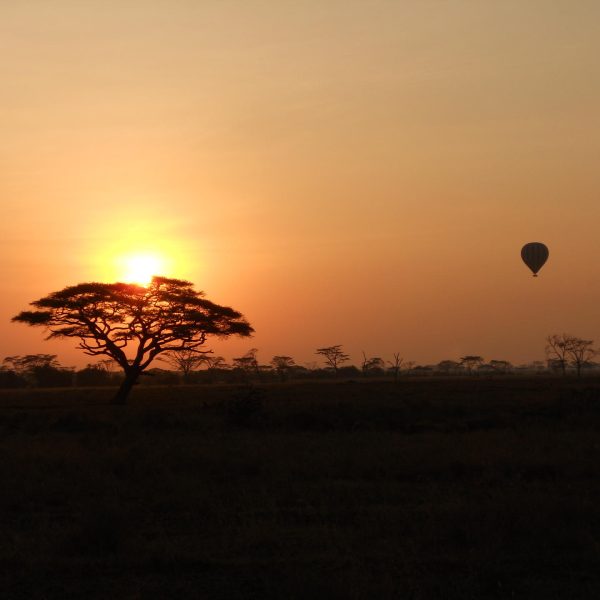 Ndutu Kati Kati - foto 5