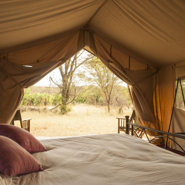 Ndutu Under Canvas - foto 1