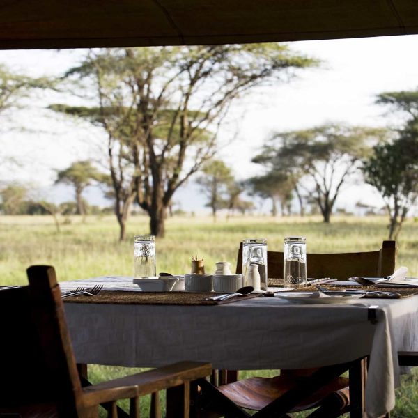 Ndutu Under Canvas - foto 3