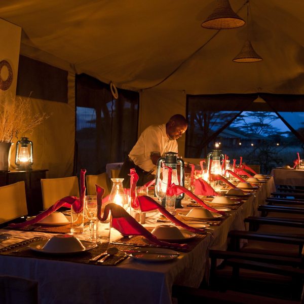 Ndutu Under Canvas - foto 4