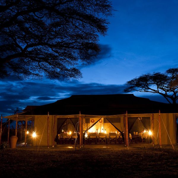 Ndutu Under Canvas - foto 5