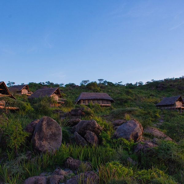 Olduvai Ndogo headerbeeld