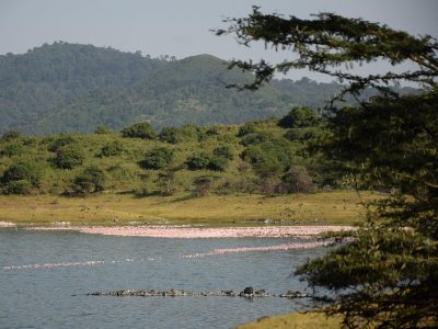 Rondreis-Tanzania-Arusha-excursie-kanovaren-Duluti-meer-meer-met-heuvels-op-achtergrond