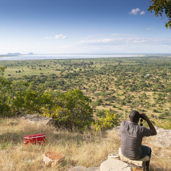Sangaiwe - foto 5