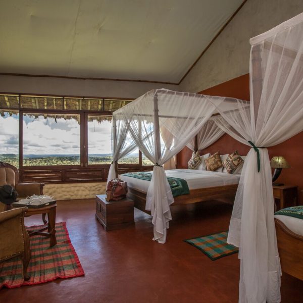 Serengeti Simba - foto 1