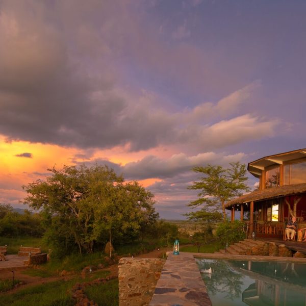 Serengeti Simba headerbeeld