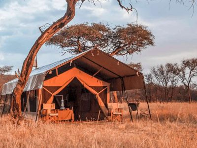 Tanganyika Wilderness-camp