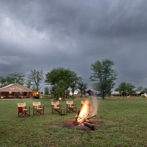 Tarangire Kati Kati - foto 5