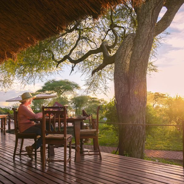 Tarangire Simba headerfoto