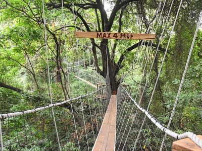 Treetop-Walkway-in-Lake-Manyara-National-Parkss