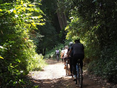 biking rau forest