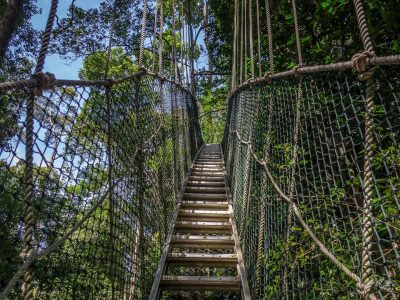 treetop-walkway-tour-in-lake-manyara-national-park